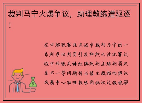 裁判马宁火爆争议，助理教练遭驱逐！